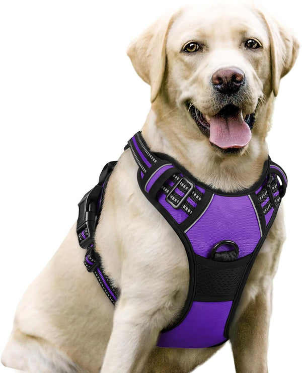 Rabbitgoo Dog Harness, No Pull for Large Dogs with 2 Leash Clips, Pet Vest | No Choke with Handle, Adjustable Soft Padded, Reflective, Easy Control for Walking, Black, Large67