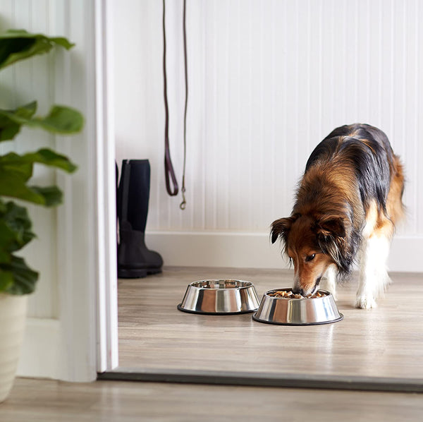 Amazon Basics Stainless Steel Non-Skid Dog Water and Food Bowls, Dishwasher Safe, Rust Resistant, 38Oz Capacity, 10 X 2.8 Inches, 2-Pack5
