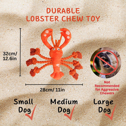 Large Squeaky Dog Toys, Tough Plush Lobster with Rope Tug of War for Puppy, Small, Medium, Large Dogs, Interactive Stuffed Chew Toy to Keep Them Busy3