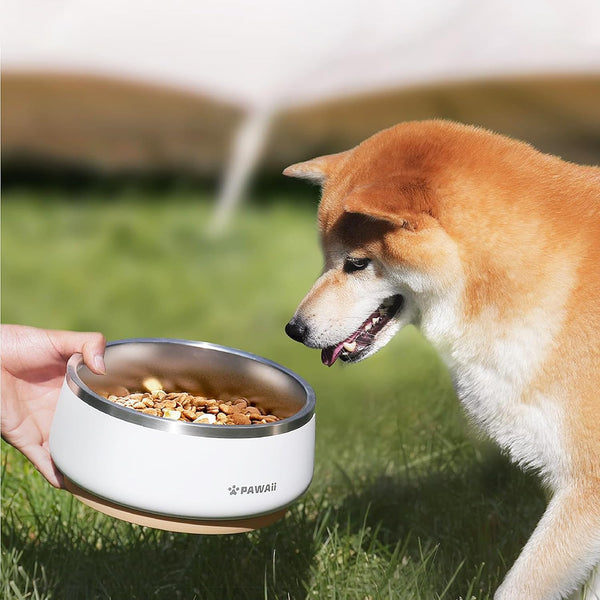 Pawaii Dog Bowl, 34 Oz Stainless Steel Food and Water Bowl, ID Tag, 1 Pack | Double-Wall Design,Non-Slip Rubber Base,Dishwasher Safe,Smooth Open Design, Not a Slow Feeder,Easy-Rinse Interior9