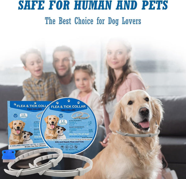 Flea Collar for Dogs, 2 Pack Collar for Dogs, 12 Months Protection, Waterproof, Adjustable One Size Fits All, Grey6