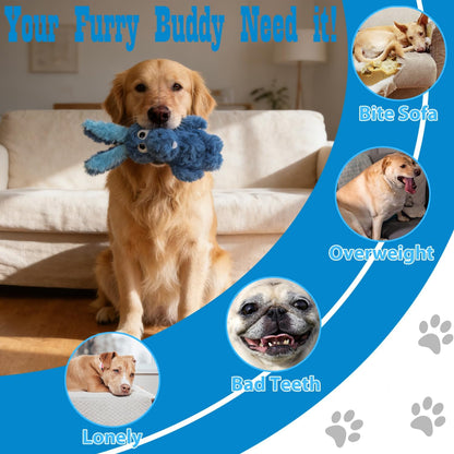 Donkey Squeaky Plush Dog Toy for Small Medium Large Dogs, Blue | Stuffed Plush, Crinkle, Squeaky, Lightweight, for Tug and Chew, Indoor Outdoor Play Keep Dog Busy, Birthday Gift7