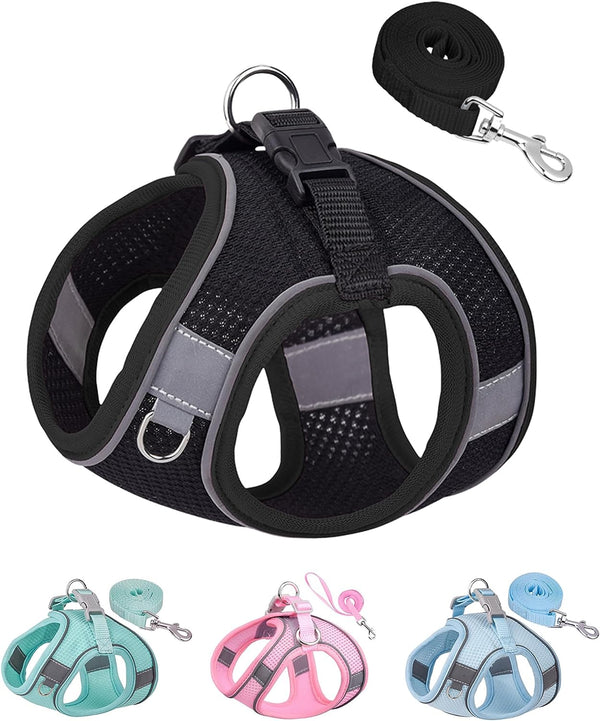 SOLMOONY Dog Harness for Small Medium Large Dogs No Pull, Puppy and Leash Set, Dogs, Step in Harness, Mesh Harness. (Pink, XS)6