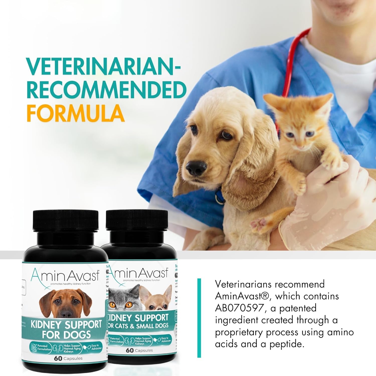 aminavast-300mg-kidney-support-for-cats-small-dogs-60-sprinkle-capsules-feed-directly-or-open-capsules-mix-with-food-amino-acid-and-peptide-blend-for-cats-and-small-dogs-up-to-20lb