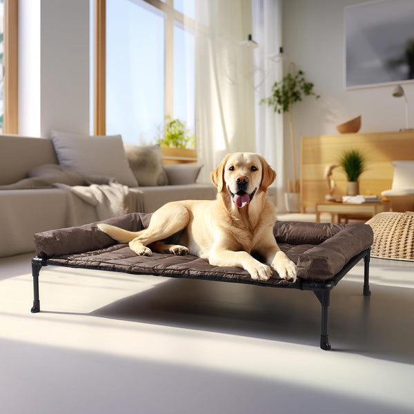 Veehoo Outdoor Elevated Dog Bed with Waterproof Bolster Cushion, Cooling | Raised Dog Bed with Removable & Washable Mat Topper, Breathable Mesh, Dog Couch Cot for Indoor Outdoor, 42", Large, Black18