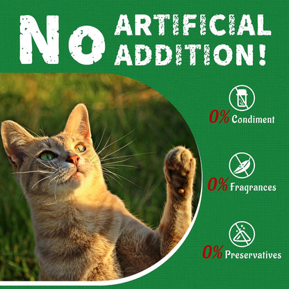 Just Try 14 OZ Cat Grass Treats for Indoor Cats Hairball Control | Salmon Flavor,Dental Care,Catnip for Cats,Crunchy Kitten Snacks,Training Biscuits9