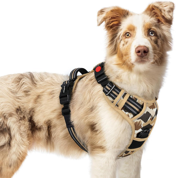 Rabbitgoo Dog Harness Medium Sized, Updated Easy on & off with 3 Buckles | No Pull No Choke, Walking with 2 Clips and Handle, Adjustable Soft Reflective, Blue, Medium26