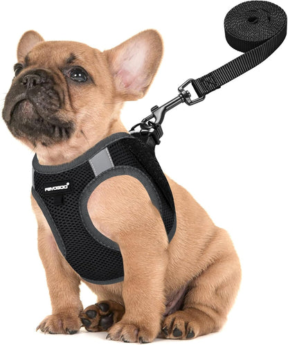 FAYOGOO Service Dog Vest for Small Dogs - Lightweight Dog Harness with 6PCS Removable Patches - Puppy Harness and Leash Set for Walking,Training10
