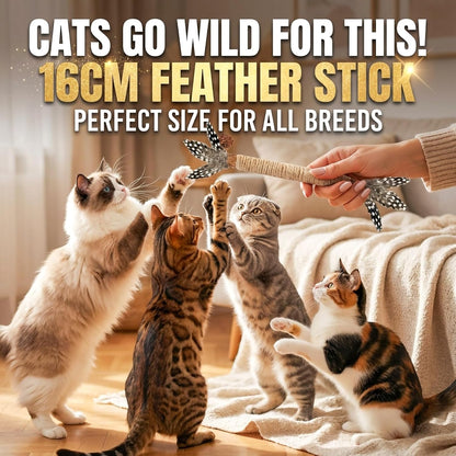 Cat Chew Toys Silvervine Sticks Dental Treat Feather 7Pack Indoor | Real Feathers Silvervine Dual-Action Chew Chase Soothes Teething, Cleans Teeth Relieves Boredom Indoors Safe Durable 7PK Set4