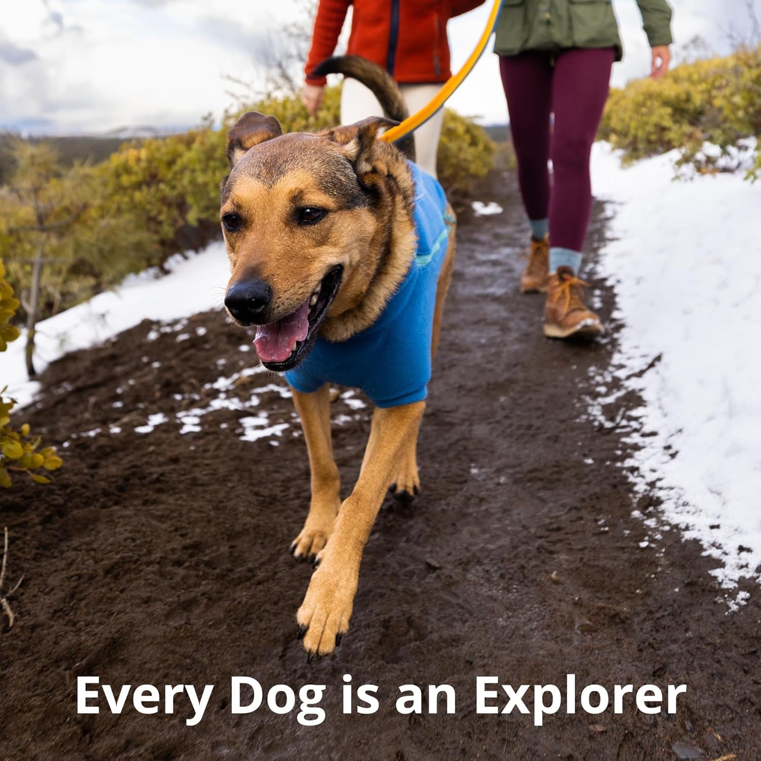 ruffwear-roamer-bungee-dog-leash-for-running-biking-or-hiking-can-be-used-hand-held-or-hands-free-river-rock-green-5-5-7