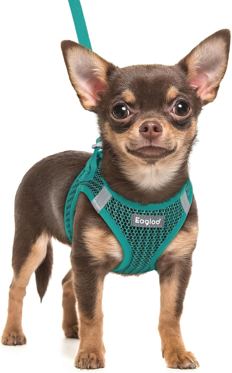 eagloo-small-dog-harness-and-leash-set-step-in-small-sized-puppy-pet-vest-light-soft-breathable-air-mesh-easy-on-and-off-with-hook-loop-reflective-for-safe-walking-pink-s