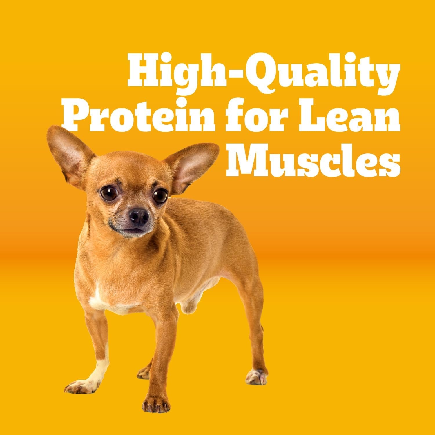 pedigree-small-dogs-dry-dog-food-roasted-chicken-and-vegetable-14-lb-36-vitamins-minerals-amino-acids-omega-6-zinc-for-skin-and-coat-natural-fibers-for-digestion-supports-immune-health