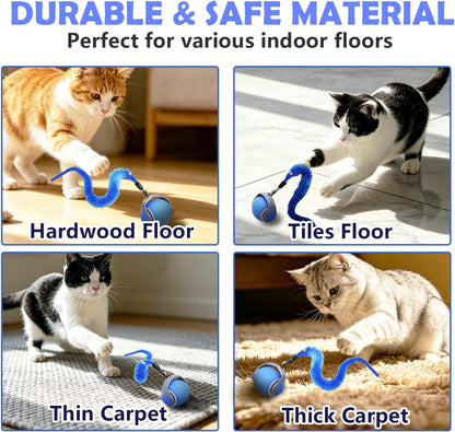 Automatic Interactive Cat Ball Toy for Indoor Cats, Electric Moving Rolling Cat Teaser Ball with Replaceable Feather, Stimulating Puzzle Enrichment Exercise for Kitten Adult Cats, Cat Birthday Gift4
