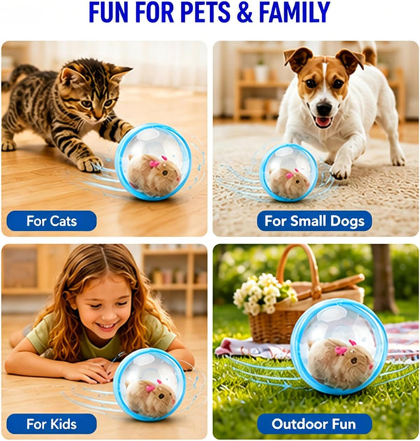 2026 New Self-Rolling Interactive Cat Ball Realistic Animal Automatic Moving Rolling Cat Ball 360° Rolling Spin Moving Cat Ball Fun Indoor Interactive Pet Ball for Cats Dogs Chasing (Blue, Mouse-A)6