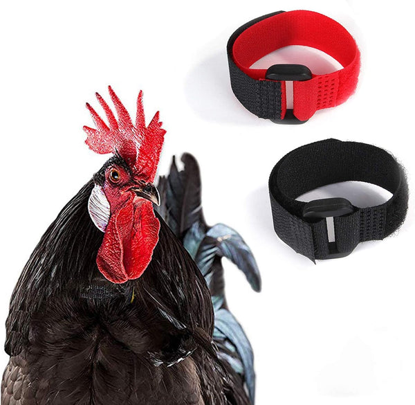 2Pcs Red Crow Rooster Collar, Crow Collar Rooster Collarno Crow Noise Neck Belt for Roosters Collars, Harnesses and Leashes Nylon Prevent Chickens from Screaming Basic Dog Collars Basic Collars4