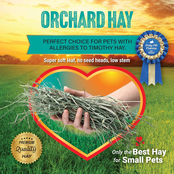 Small Pet Select Orchard Grass Hay Pet Food for Rabbits, Guinea Pigs, Chinchillas and Other Small Animals, Premium Natural Hay Grown in the US, 10 LB | Premium Natural Grass Hay, Grown in USA, Soft High Fiber Forage, for Chinchillas, Bunnies, Hamsters & Small Pets5