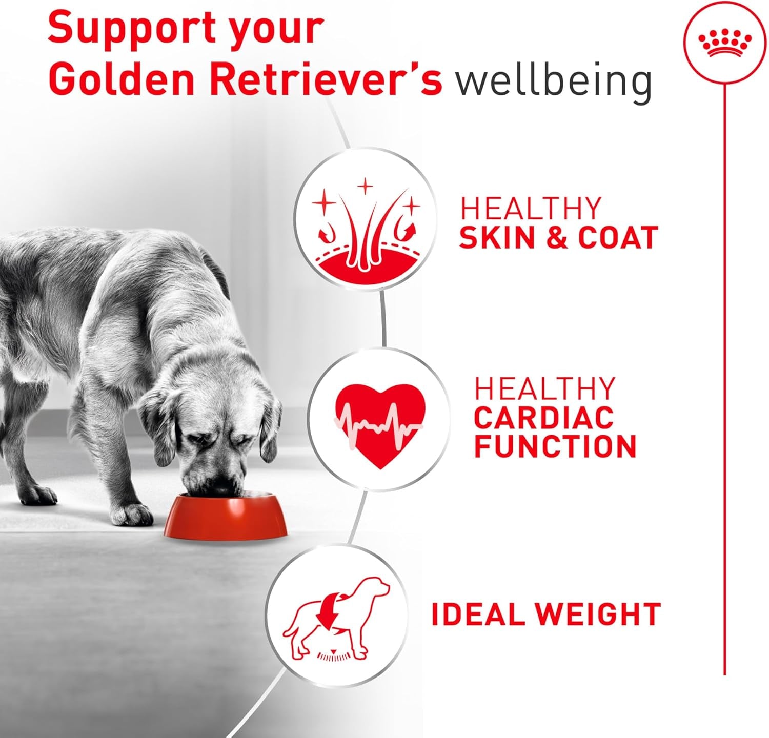 royal-canin-golden-retriever-adult-dry-dog-food-30-lb-bag