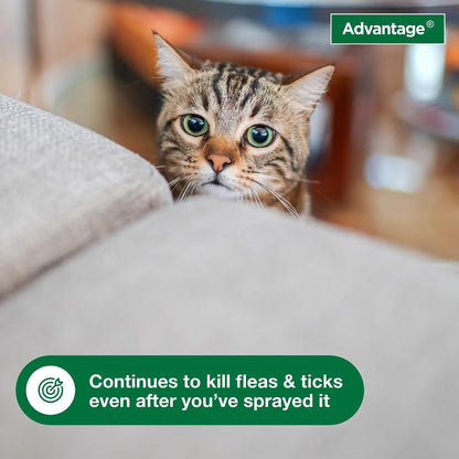 Advantage Carpet & Upholstery Spot Spray | Kills Fleas & Ticks & Bedbugs | 16 Oz.4