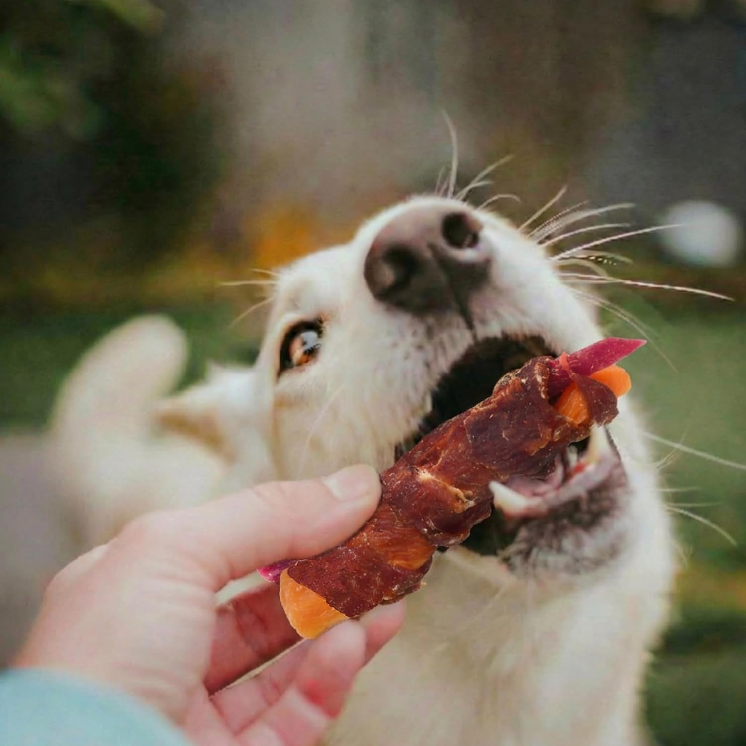 dog-jerky-treats-duck-wrapped-orange-purple-sweet-potato-10-6-oz-healthy-dog-snacks-high-protein-low-fat-soft-chews-eliminates-tears-training-rewards-treats-for-small-medium-large-breeds