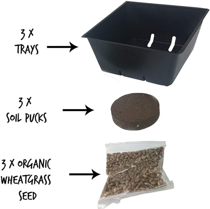 Handy Pantry Organic Cat Grass Kit - Includes 3 Trays, Soil Pucks, and 3 Packs Non GMO Wheatgrass Seed - a Healthy Treat for Cats, Dogs, Rabbits, More4