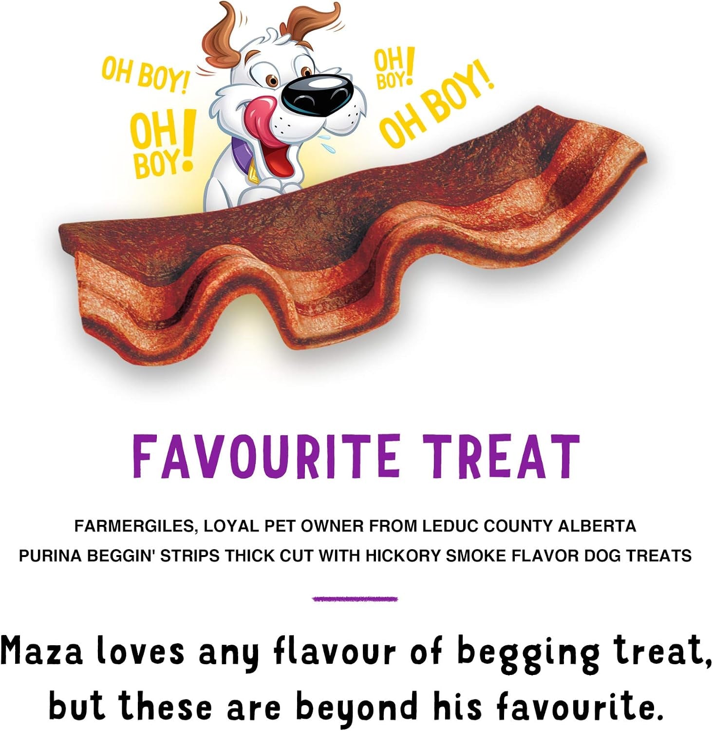 purina-beggin-strips-real-meat-dog-treats-thick-cut-hickory-smoke-flavor-pack-of-2-26-oz-pouches