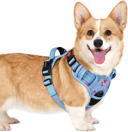 Rabbitgoo Dog Harness Medium Sized, Updated Easy on & off with 3 Buckles | No Pull No Choke, Walking with 2 Clips and Handle, Adjustable Soft Reflective, Blue, Medium57
