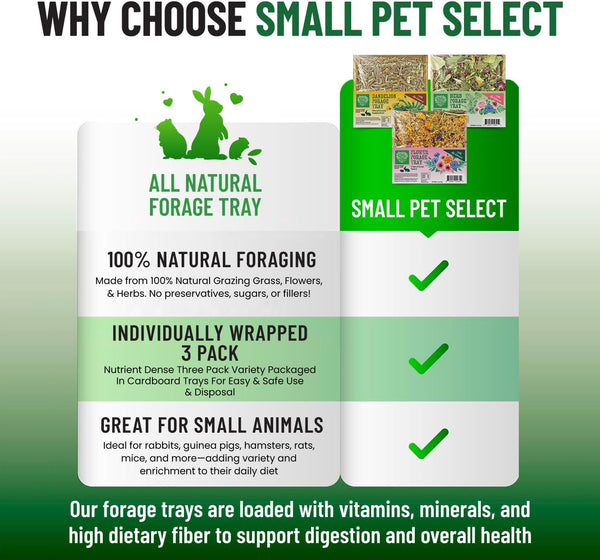 Small Pet Select Forage Tray Bundle, Rabbits & Guinea Pigs, 3-Pack | Dandelion, Flower & Herb Mix, 2.5 Oz Each, Natural Foraging Enrichment for Rabbits, Guinea Pigs & Small Pets4