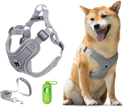Patas Lague Dog Harness with Leash Set for Small Medium Dogs, No Pull No Choke Reflective Step in X Head Pet Harness Vest with Poop Bags and Dispenser, Adjustable and Padded, Grey Small1