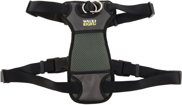 Coastal Pet Walk Right Front-Connect No-Pull Padded Dog Harness - Adjustable & Comfortable Dog Harness - Small & Large Breed Fit - Quality Pet Supplies - Black, LRG (26"-38")15