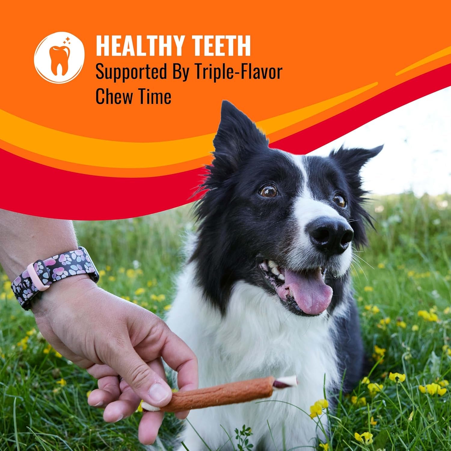 good-n-fun-rolls-long-lasting-dog-treat-for-large-dogs-with-real-proteins-beef-hide-and-premium-chicken-supports-dental-health-mental-stimulation-6-count