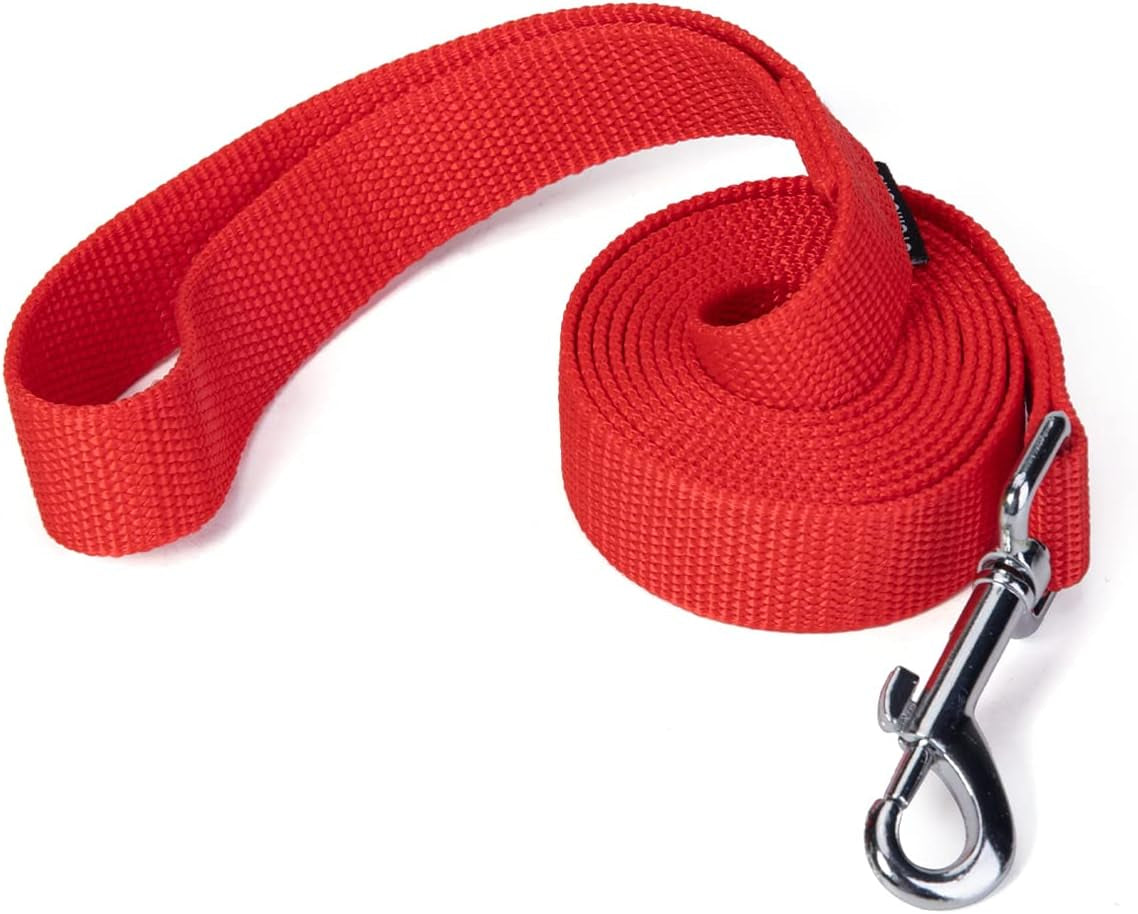 strong-durable-nylon-10ft-long-dog-training-leash-traction-rope-1-inch-wide-for-small-and-medium-dog-black-10-feet