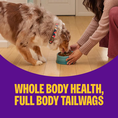 Wellness Complete Health+ Adult Dry Dog Food with Freeze Dried Wellbites, Wholesome Grain Kibble+, Natural, Chicken and Oatmeal Recipe, 4 Lb Bag5