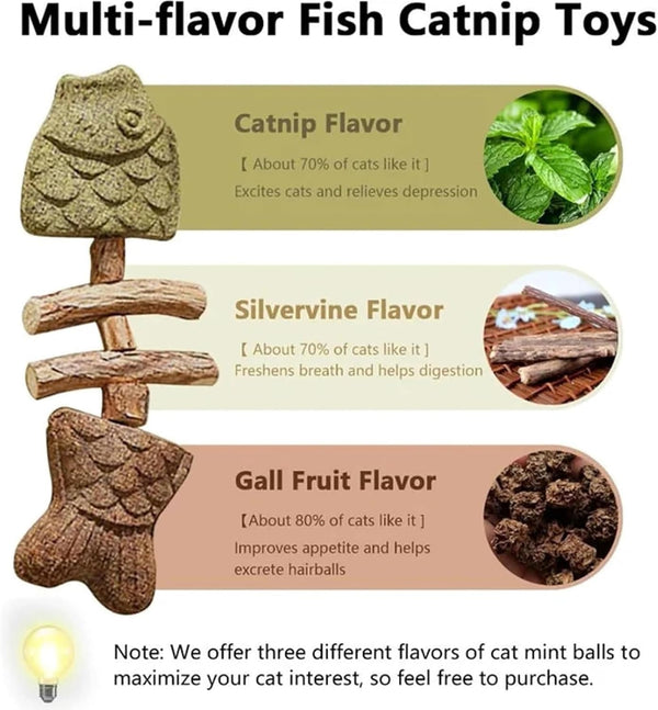 2PCS Catnip and Silvervine Chew, Fish Bone Cat Dental Chew Toy – Natural Wooden Teeth Cleaning Stick for Teething, Boredom Relief & Daily Enrichment5