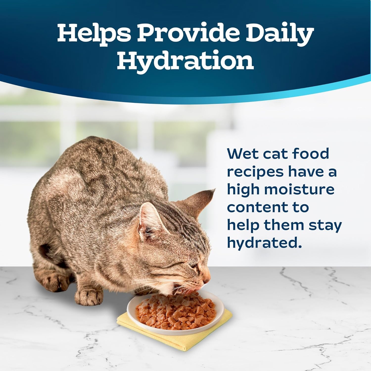 blue-buffalo-tastefuls-savory-singles-variety-pack-wet-cat-food-in-gravy-2-6-oz-twin-pack-trays-chicken-turkey-entree-12-count