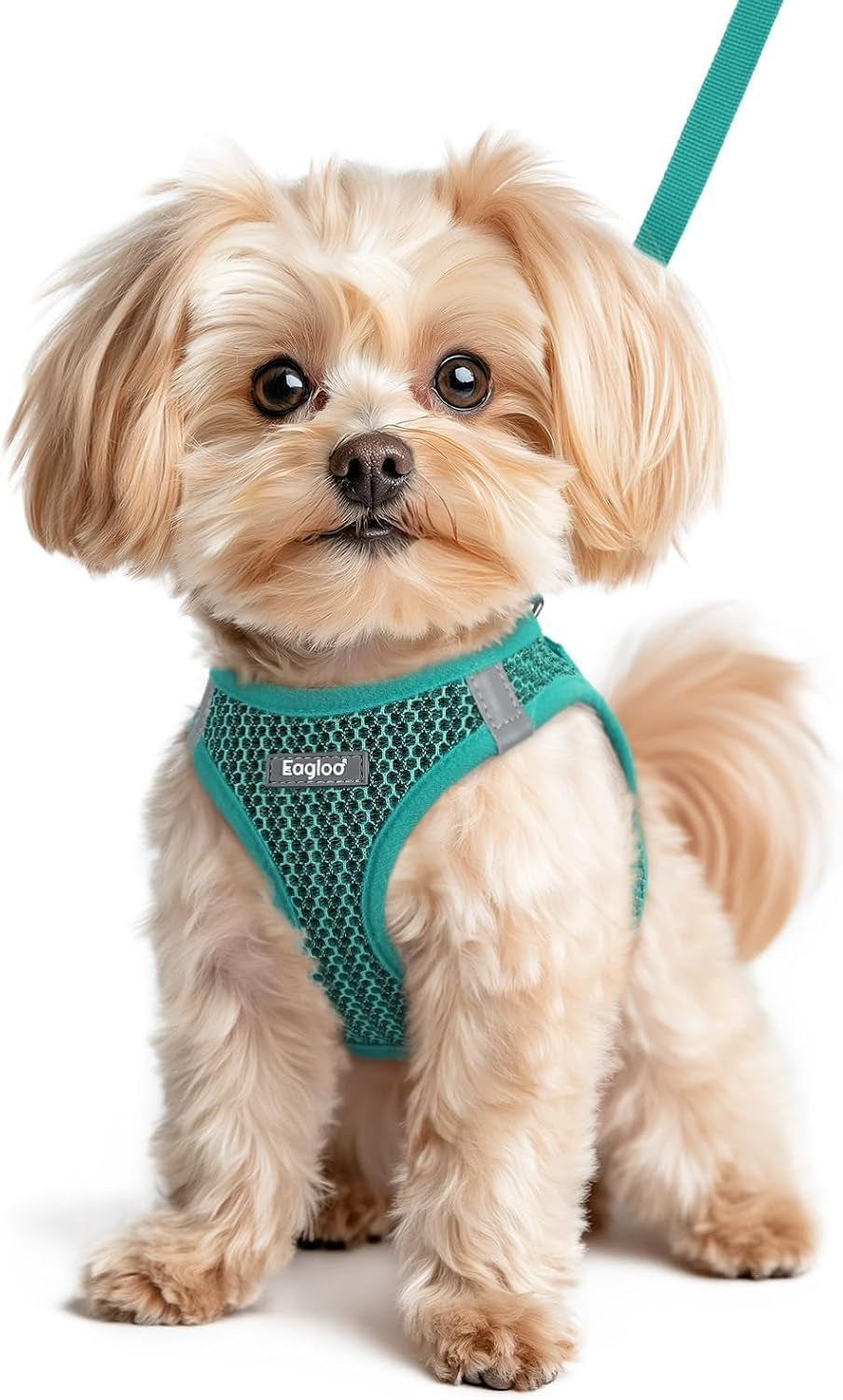 eagloo-small-dog-harness-and-leash-set-step-in-small-sized-puppy-pet-vest-light-soft-breathable-air-mesh-easy-on-and-off-with-hook-loop-reflective-for-safe-walking-pink-s