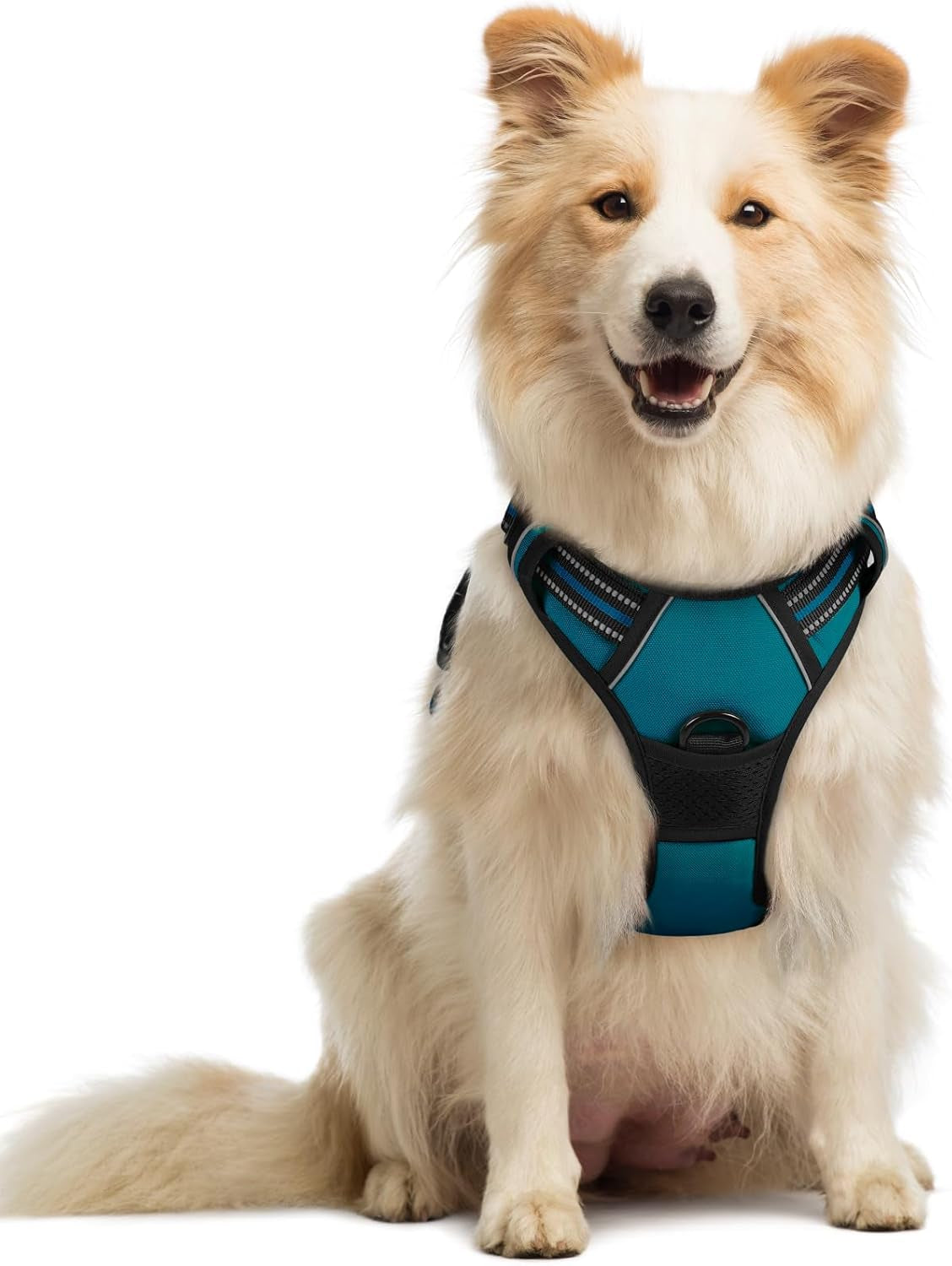 rabbitgoo-dog-harness-no-pull-for-large-dogs-with-2-leash-clips-pet-vest-no-choke-with-handle-adjustable-soft-padded-reflective-easy-control-for-walking-black-large
