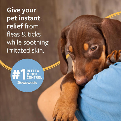Veterinary Formula Flea and Tick Shampoo for Dogs and Cats, 16 Oz5