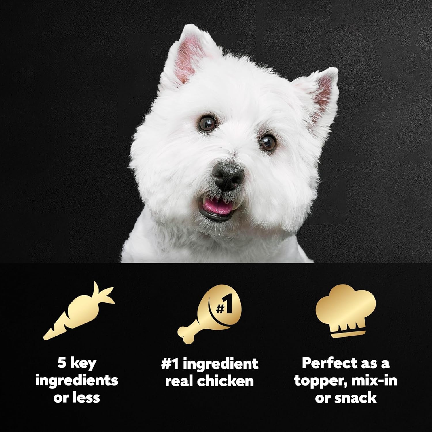 cesar-simply-crafted-wet-dog-food-toppers-chicken-1-3-oz-10-count-real-chicken-1-ingredient-no-by-products-or-artificial-flavors-slow-cooked-easy-to-digest-single-serve-tubs