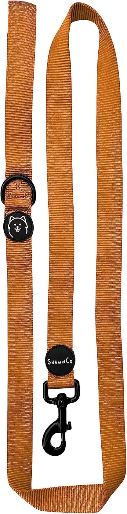 Shawnco Dream Walk Dog Leash- Premium, Nylon Pet Leash with Soft Neoprene Handle for Small, Medium and Large Dogs (ICY Lilac, M/L 6FT W/ 2 Handles)22