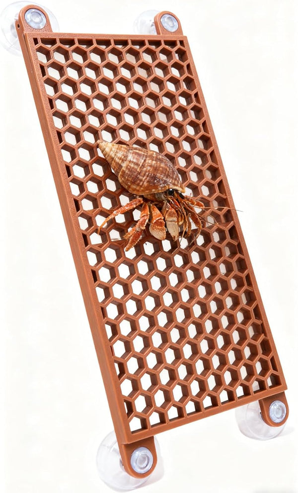 Hermit Crab Climbing Toy, Reptile Habitat Decor Exercise Playground Hermit Crab Accessories for Tank and Aquarium Decoration (Brown)1