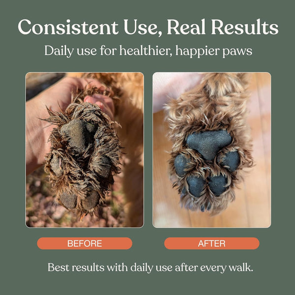 Dog Paw Cleaner, Clean Paws, No Rinse Foam Cleaner with Brush, 5 Fl Oz | Dandylion Dog Paw Washer, Fragrance Free, Ph Balanced, Waterless, Foaming Washer with Silicone Brush, Pet Cleaning Supplies5