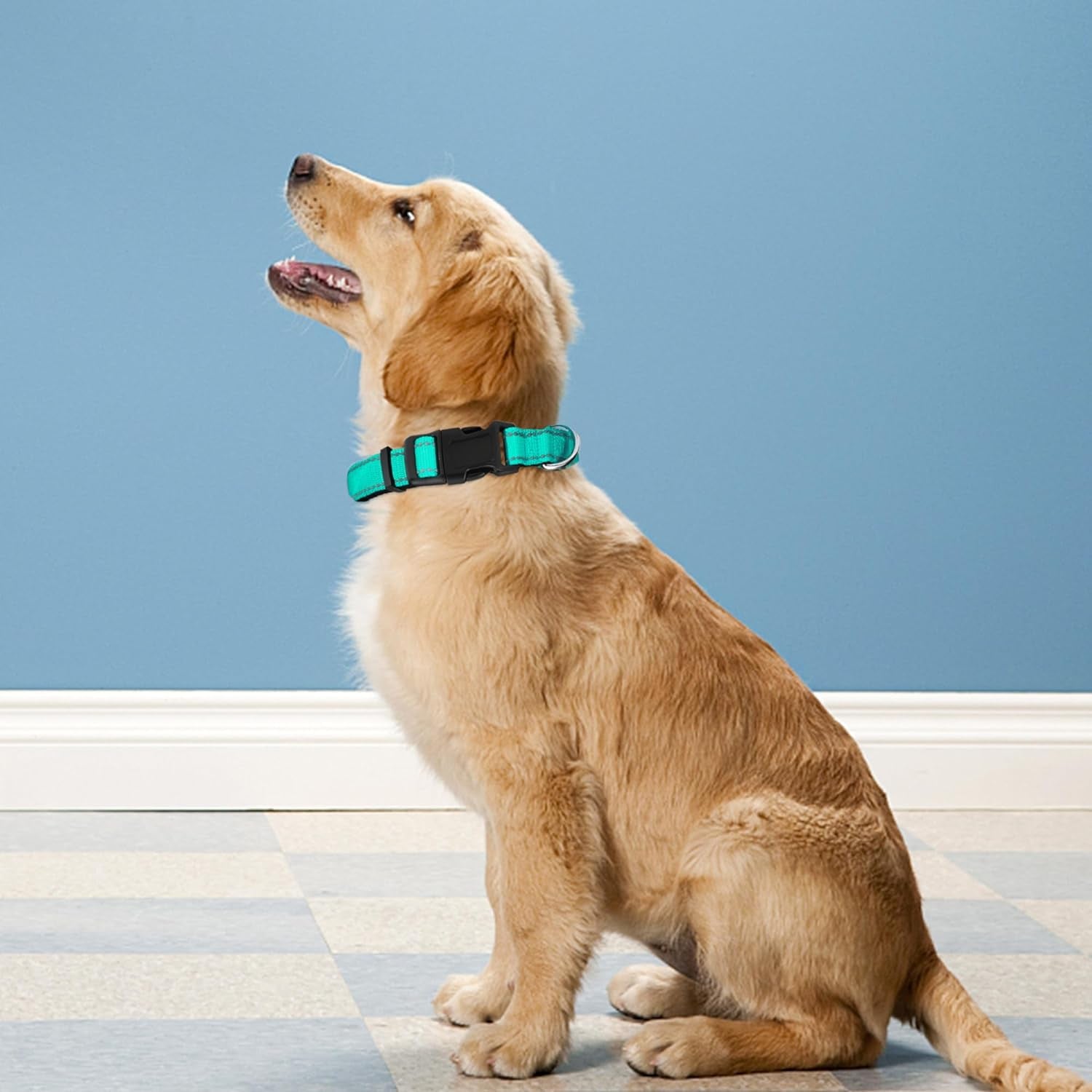 reflective-dog-collar-adjustable-soft-neoprene-padded-teal-m-breathable-nylon-for-medium-dogs-tear-resistant-webbing-chafe-free-on-walks-and-hikes-metal-d-ring-night-safety