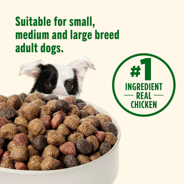 Nutrish Real Chicken & Veggies Recipe Whole Health Blend Dry Dog Food, 14 Lb. Bag, Packaging May Vary (Rachael Ray)6