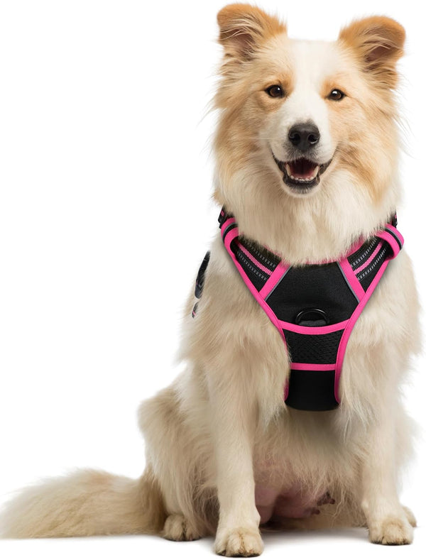Rabbitgoo Dog Harness, No Pull for Large Dogs with 2 Leash Clips, Pet Vest | No Choke with Handle, Adjustable Soft Padded, Reflective, Easy Control for Walking, Black, Large148