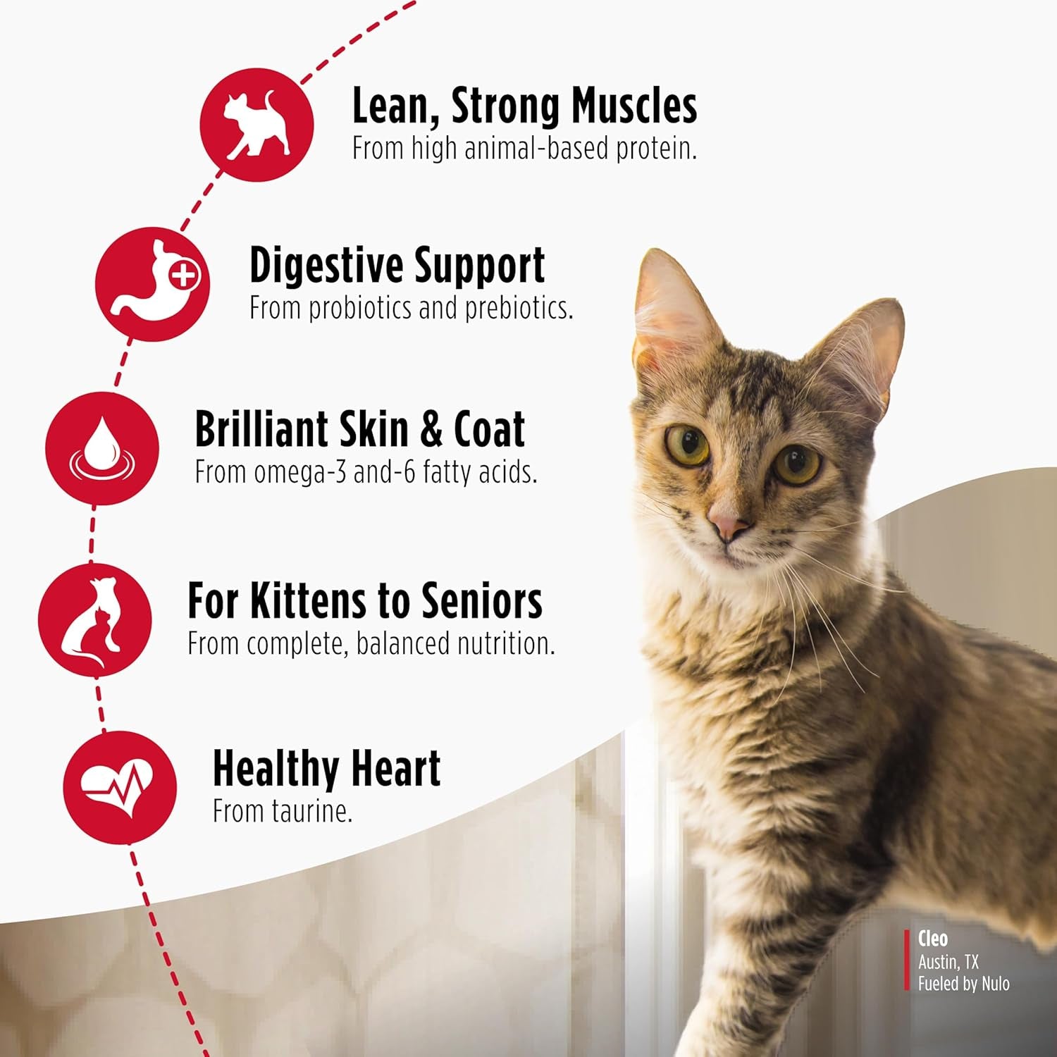 nulo-freestyle-cat-kitten-dry-food-chicken-cod-recipe-high-protein-grain-free-cat-food-natural-kibble-with-probiotics-omega-fatty-acids-4lb-bag