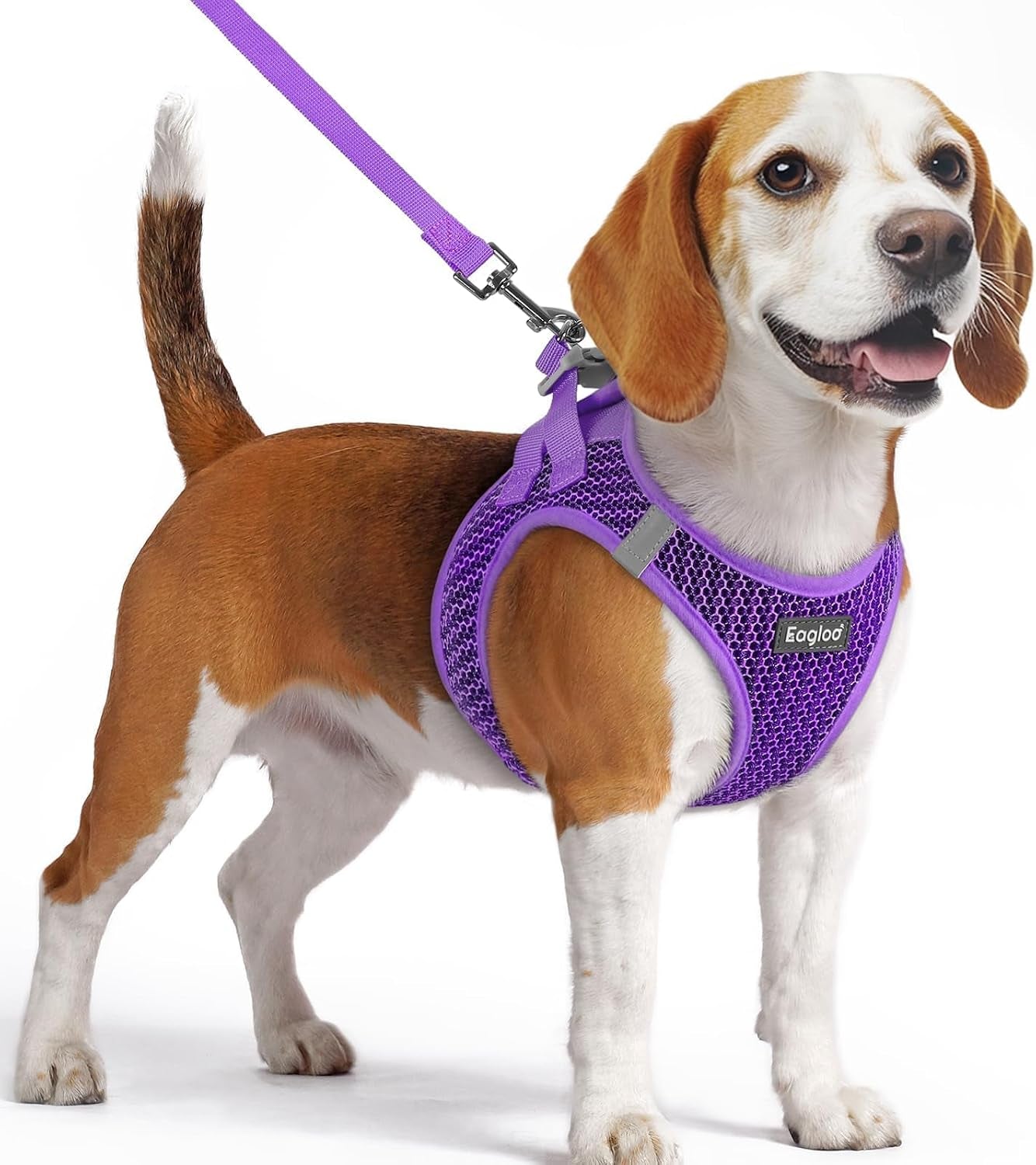 eagloo-small-dog-harness-and-leash-set-step-in-small-sized-puppy-pet-vest-light-soft-breathable-air-mesh-easy-on-and-off-with-hook-loop-reflective-for-safe-walking-pink-s