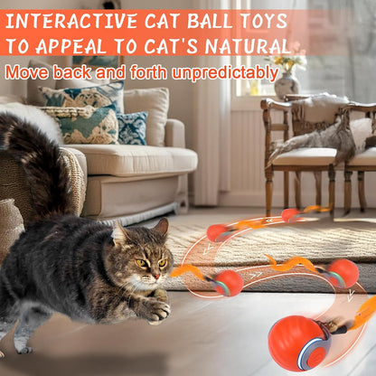 BABORUI 2Pack Interactive Cat Toy Ball - Automatic Interactive Cat Toys for Indoor Cats with 3 Tails, 2 Speeds Rechargeable Enrichment for Small/Medium/Large to Keep Them Busy2