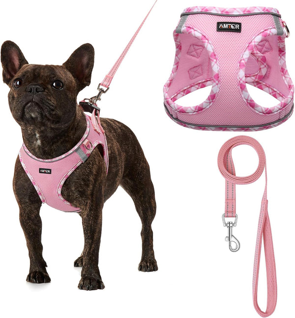 AMTOR Small Dog Harness with Leash Set, No Escape Easy Walk Puppy Harnesses for Training Walking, Step-In Reflective Soft Dogs Vest for XS S Medium Extra-Small Large Sized Dog(Green,S)16