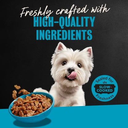 Cesar Filets in Gravy Wet Dog Food, Steak Mix Variety, 3.5 Oz, 24 Count | Filet Mignon, New York Strip & Prime Rib, Real Meat, Slow-Cooked, No Fillers/Added Sugar/Artificial Flavors, Easy Peel Trays12