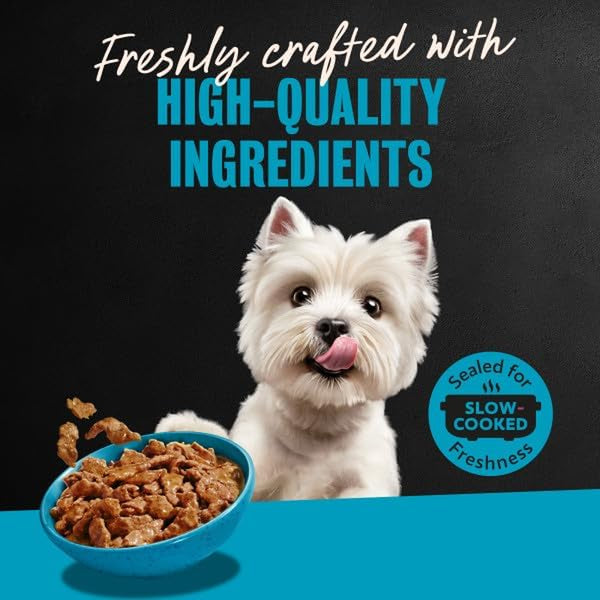 Cesar Filets in Gravy Wet Dog Food, Steak Mix Variety, 3.5 Oz, 24 Count | Filet Mignon, New York Strip & Prime Rib, Real Meat, Slow-Cooked, No Fillers/Added Sugar/Artificial Flavors, Easy Peel Trays12